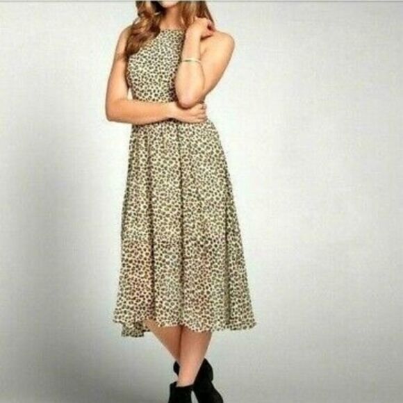 Abercrombie and Fitch Dress Brown Leopard Small - Picture 1 of 8